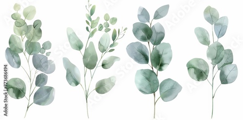 A quartet of delicate watercolor leaves in green and brown hues beautifully arranged on a plain white background © pham