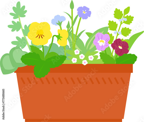 いろいろな花の寄せ植え