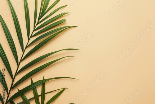 photo fresh palm leaves on beige background