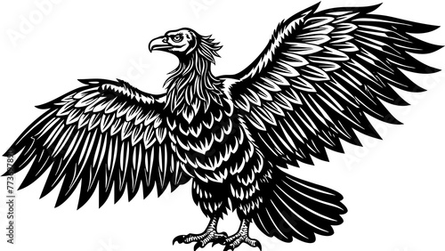 condor  and svg file