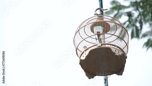 close up of bird cage hanging on pole. bird cage hanging on a pole.  photo
