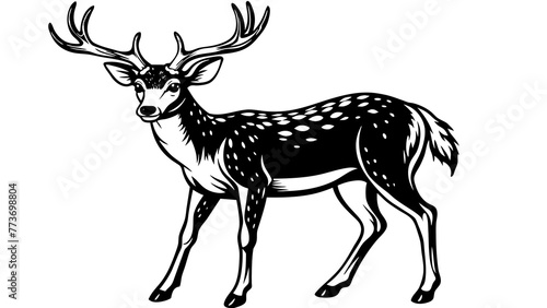 deer vector  illustration