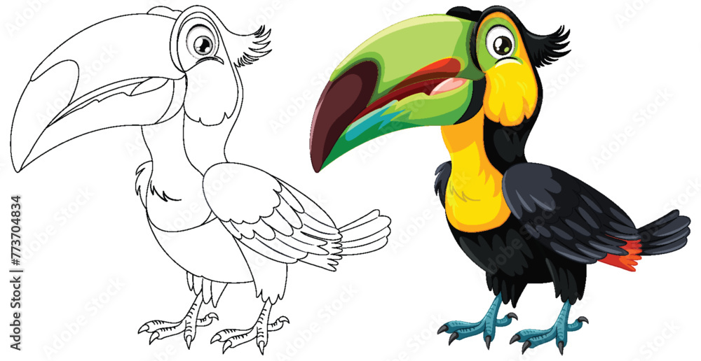 Fototapeta premium Vector illustration of a toucan in color and outline