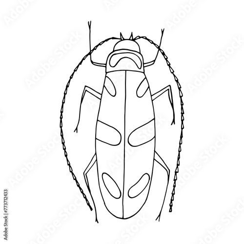 longhorned beetle hand drawn in doodle style. simple, minimalism,