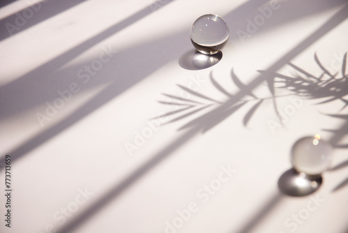 A sunny window and the shadow of a plant that can be used as a design background. © gru pictures