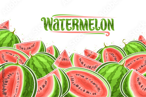 Vector illustration of Watermelons with copy space for ad text, decorative layout with chopped cartoon watermelon composition, horizontal fruit poster with green text watermelon on white background