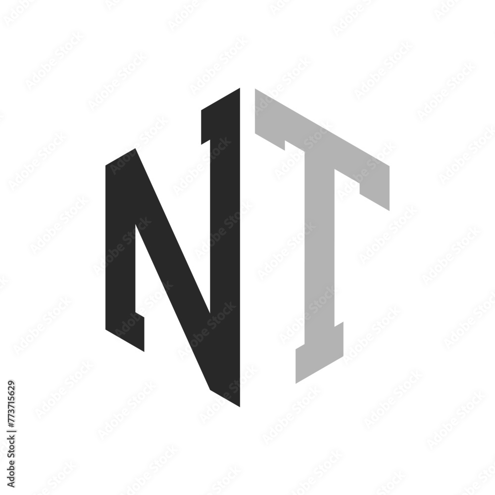 Modern Unique Hexagon Letter NT Logo Design Template. Elegant initial NT Letter Logo Concept Modern Unique Hexagon Letter NT Logo Design Template. Elegant initial NT Letter Logo Concept