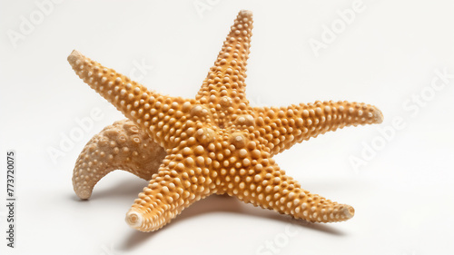 extured starfish isolated on a white background.