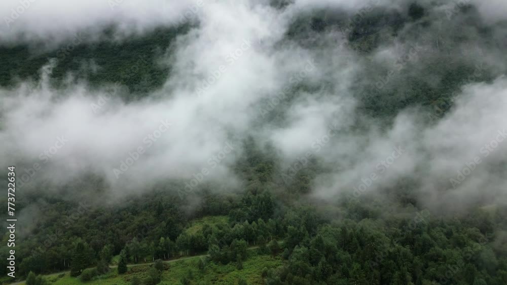 green forest on a mountain between many clouds, norway, nature, drone green forest on a mountain between many clouds, norway, nature, drone