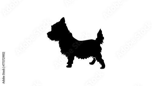 Westie dog, black isolated silhouette