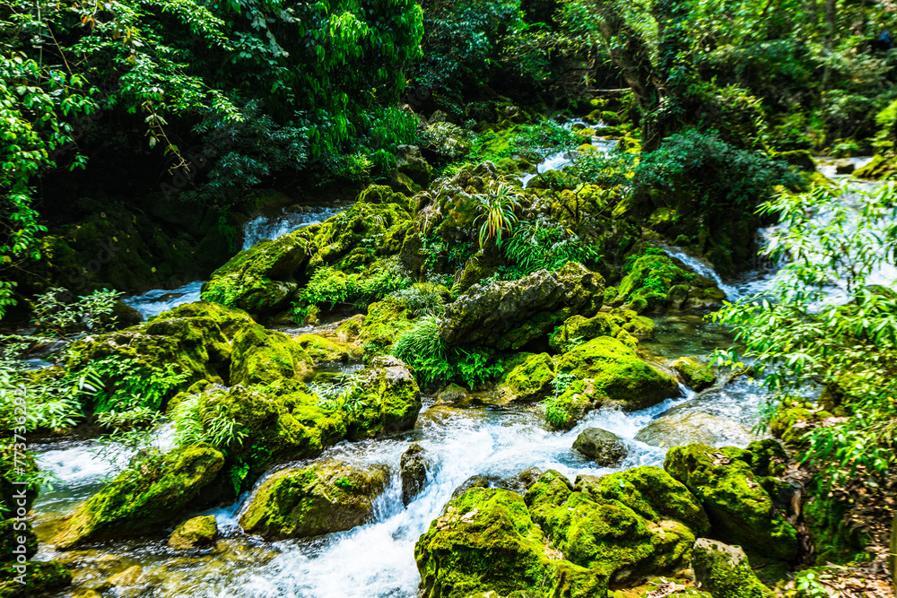 Libo County, Guizhou Province-Xiaoqikong Scenic Area Libo County, Guizhou Province-Xiaoqikong Scenic Area