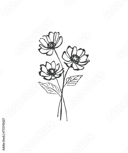 Hand drawn line art minimalist anemone illustration. Abstract rough flower drawing. Floral and botanical clipart. Elegant flower drawing for florist branding and wedding stationery.