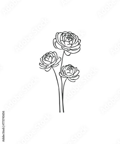 Hand drawn line art minimalist ranunculus illustration. Abstract rough flower drawing. Floral and botanical clipart. Elegant flower drawing for florist branding and wedding stationery.