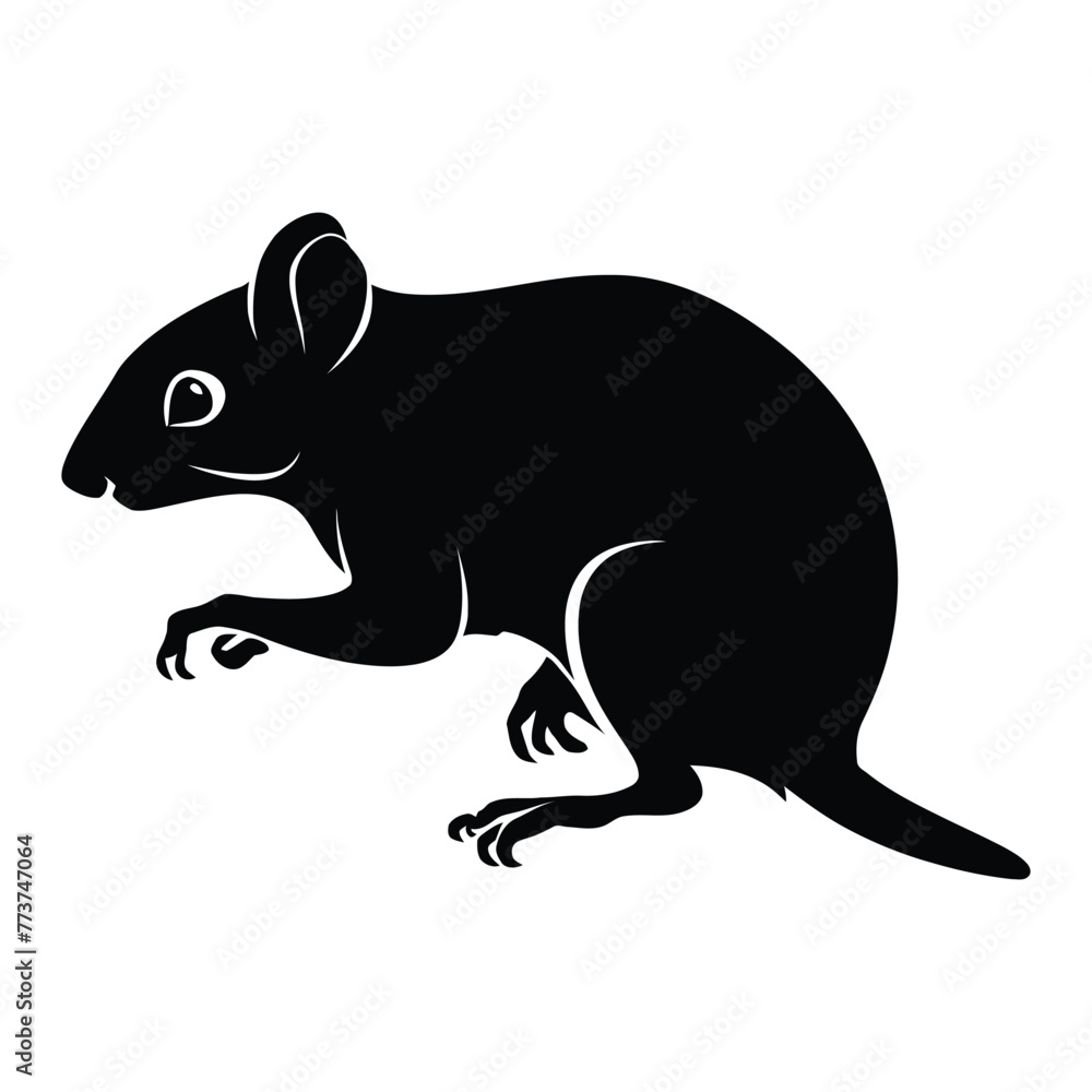 Fototapeta premium African Dormouse Silhouette