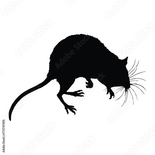 African Dormouse Silhouette