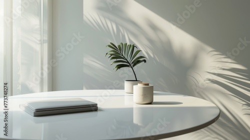 A serene image of a modern minimalist interior with plant on a table and sunlight casting soft shadows