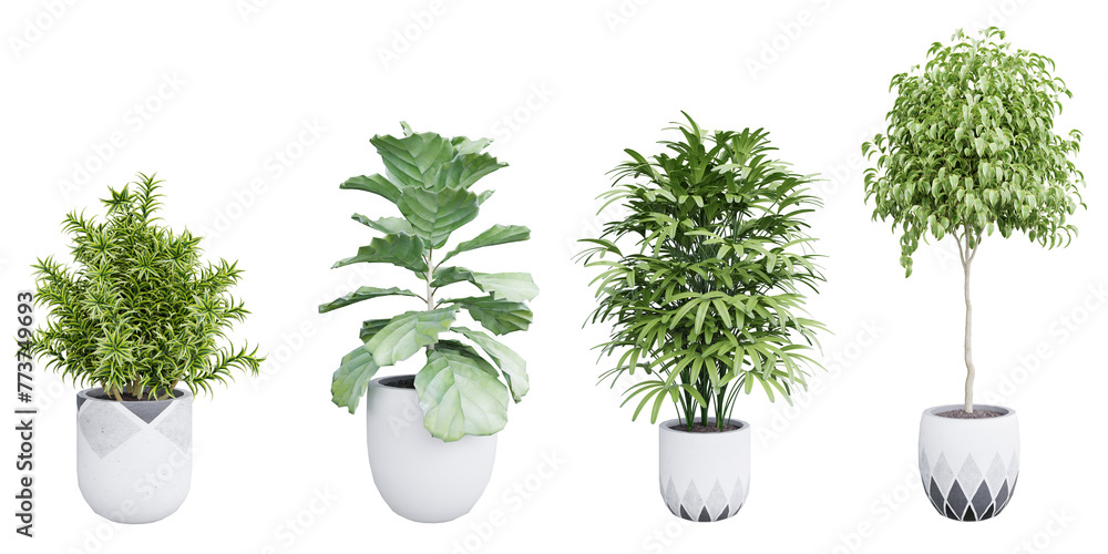 Plant set in pot isolated on white background 3d rendering PNG Plant set in pot isolated on white background 3d rendering PNG