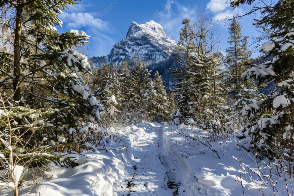 A snow-covered forest path leading up to a snow-capped mountain peak