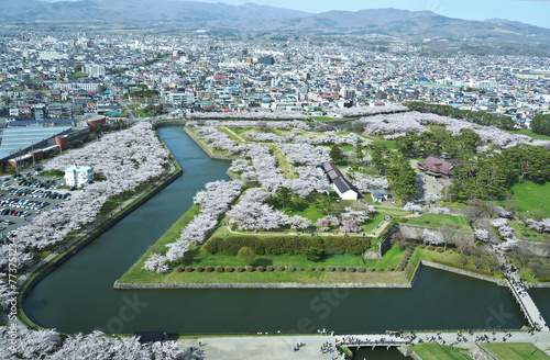 Top view in Goryokaku tower and Full bloom Cherry Blossom in Goryokaku park, Hakodate of Japan.