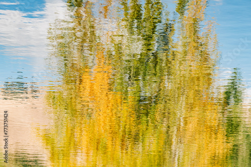 Fall tree, blue sky, and clouds reflected in water