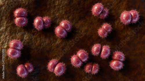 3d rendering of Neisseria meningitidis, also known as meningococcus, is a bacterium that causes meningococcal disease photo