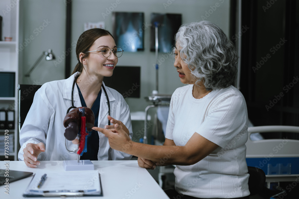 Fototapeta premium Female doctor explains to the patient the patient's work process. Diagnosis of diseases based on human anatomical models.
