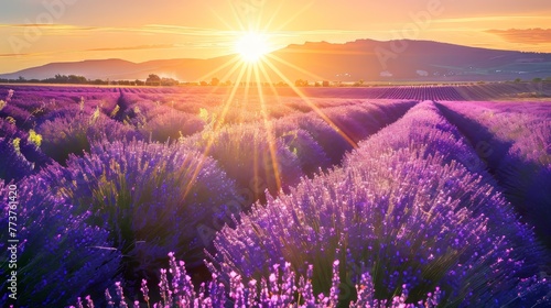 A sun-drenched field of lavender in full bloom AI generated illustration