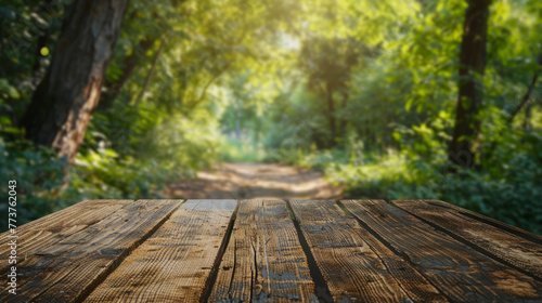 A vivid image of an enchanting forest path as observed from a vantage point on a wooden boardwalk
