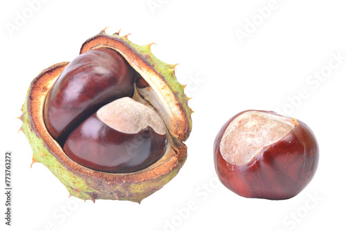 Chestnuts isolated on white background photo