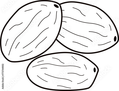 Walnut