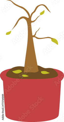 Wilting Plant