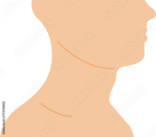 Human neck side view