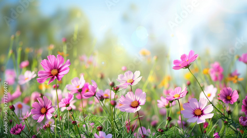 Background with wild flower