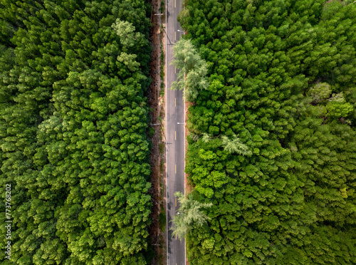 Aerial view of narrow street between woodland green forest , top birdeye's view from drone