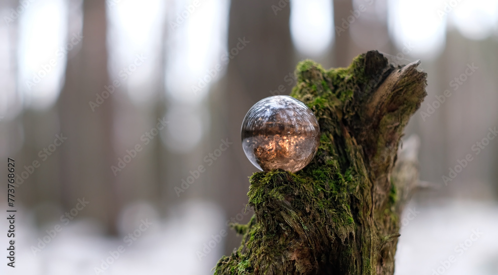 Crystal ball of rauchtopaz (smoke quartz) on tree stump in forest, abstract natural background. magic crystal ball for meditation, relax, calm soul. esoteric spiritual ritual. Witchcraft