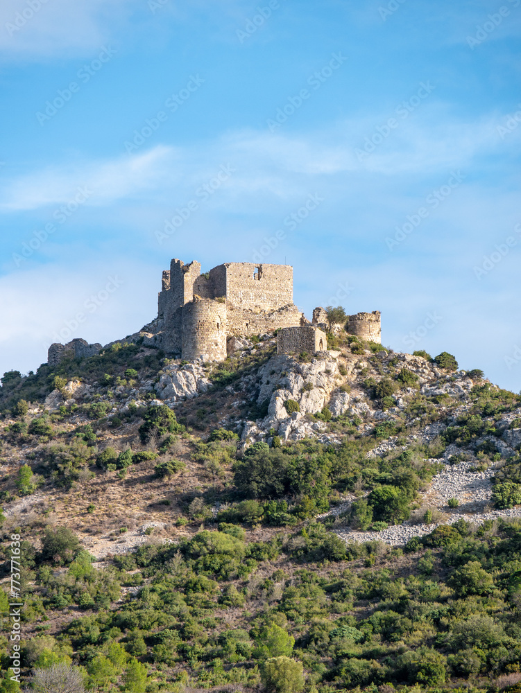 Aguilar Castle, France on a clear afternoon - Portrait shot