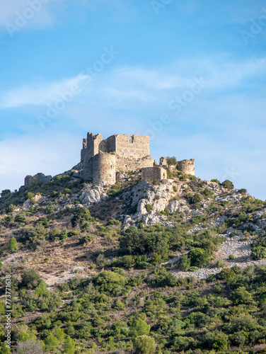 Aguilar Castle  France on a clear afternoon - Portrait shot