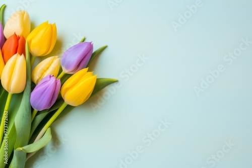Tulips flowers on a pastel pink background  in a flat lay  space for text  stock photo contest winner  high resolution  stock quality  high detail 
