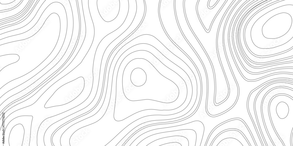 Topographic map background. Vector abstract illustration. Geography concept. - obrazy, fototapety, plakaty 
