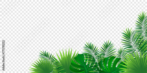 Green amazon border frame with exotic jungle plants, areca palm leaves and place for text. Summer rainforest foliage vector background. Simple tropic design for travel, vacations card and banners.