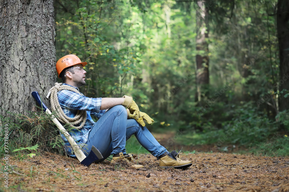 Male lumberjack in the forest. A professional woodcutter inspects trees for felling. Male lumberjack in the forest. A professional woodcutter inspects trees for felling.
