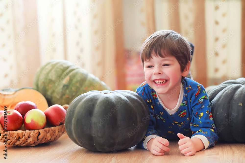 Fototapeta premium Little child choose a pumpkin at autumn. Child sitting on giant pumpkin. Pumpkin is traditional vegetable used on American holidays - Halloween and Thanksgiving Day.