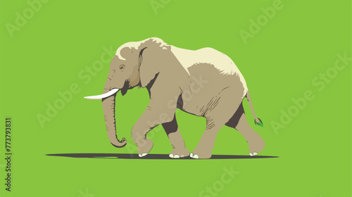 Cartoon elephant walking animation on the green screen