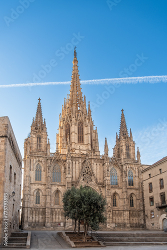 Kathedrale in der Altstadt von Barcelona, Spanien