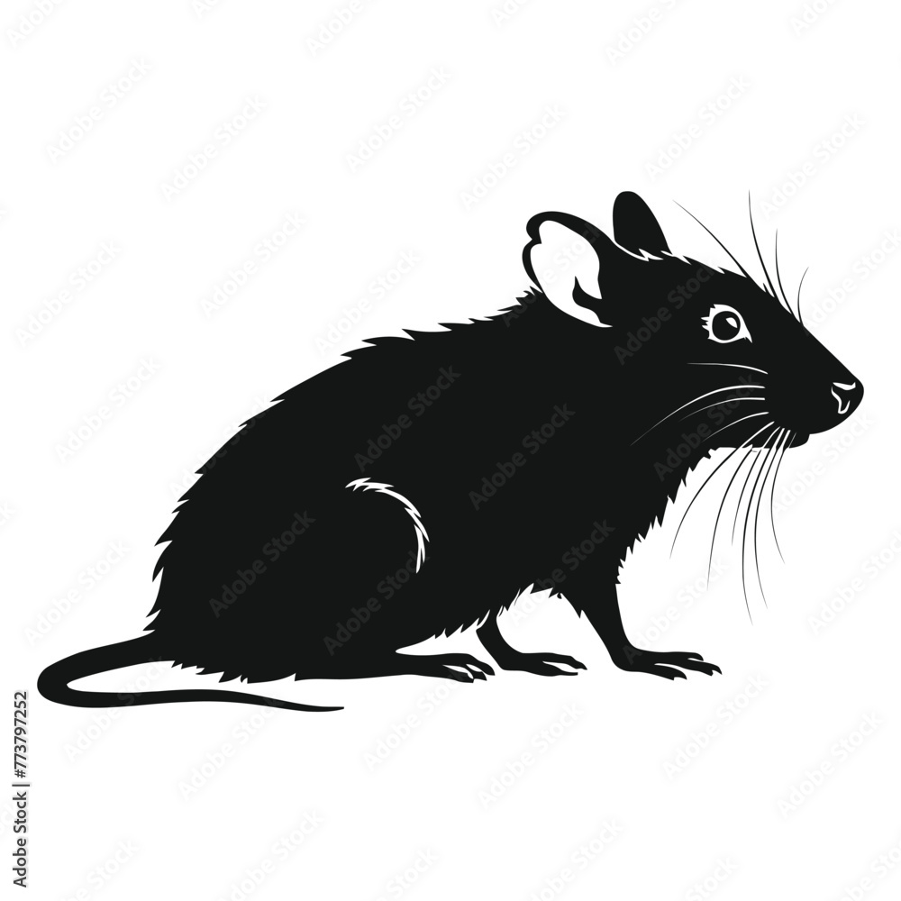 Rat Silhouette Rat Silhouette