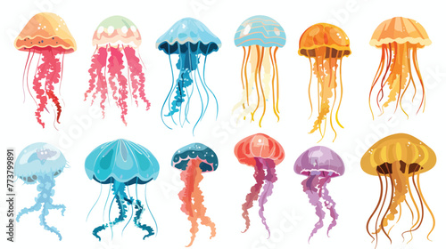 Colorful jellyfish of different types flat vector 