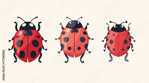 Cute ladybug cartoon flat vector isolated on white background