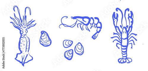 Collection of marine life hand drawn illustrations: squid, shrimp, clams, and lobster in blue line art. Oceanic theme design suitable for seafood restaurant branding and beach decor.