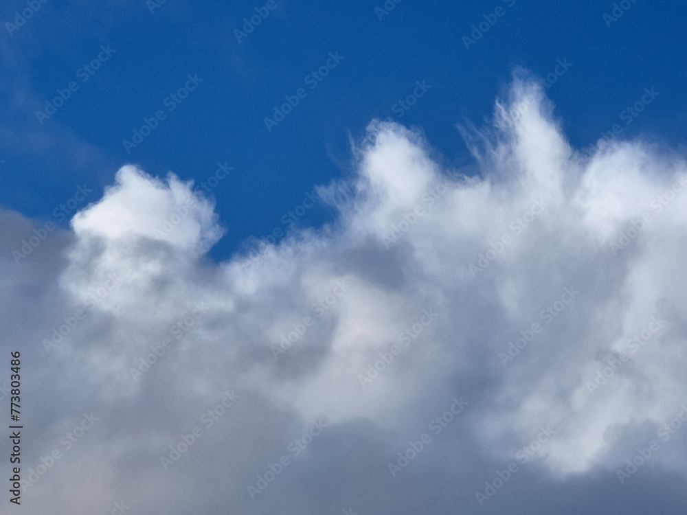 White fluffy cumulus clouds in the summer sky, natural clouds background White fluffy cumulus clouds in the summer sky, natural clouds background