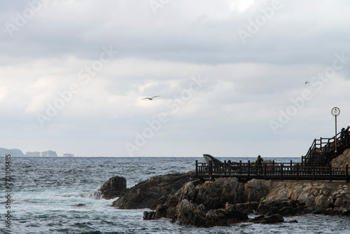Fototapeta Naklejka Na Ścianę i Meble -  View of the rocky seaside with the flying seagulls in the cloudy sky